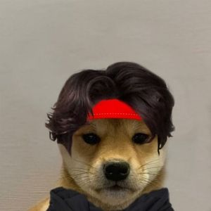 Meet your Posher, Alan